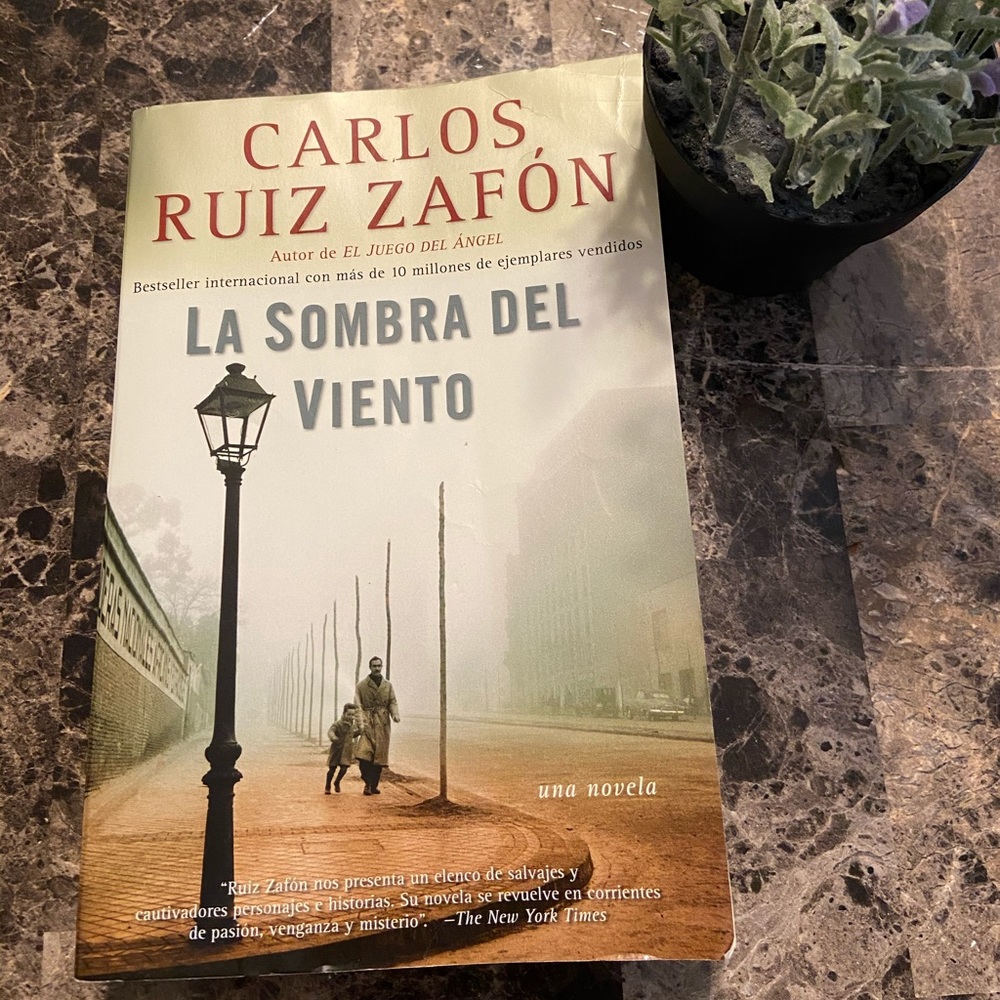 Spanish book La sombra del viento